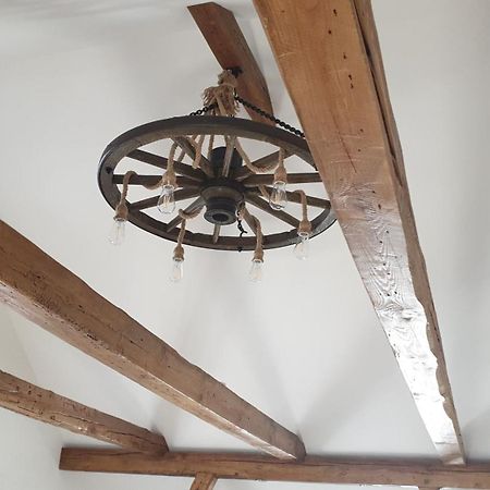 Seensucht & Urlaubstraeume, Ferienwohnung "Seeadler" Grossräschen Eksteriør bilde