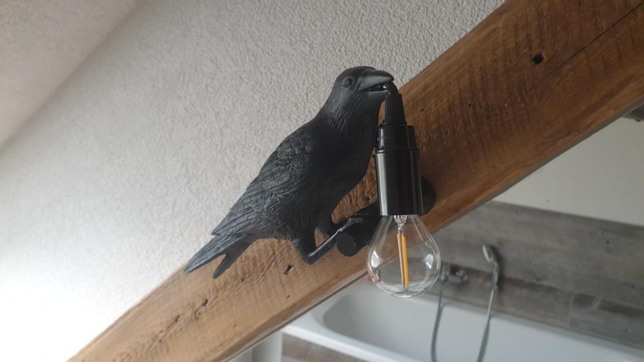 Seensucht & Urlaubstraeume, Ferienwohnung "Seeadler" Grossräschen Eksteriør bilde